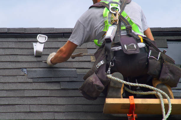 Best Roof Restoration Services  in Grayvle, IL