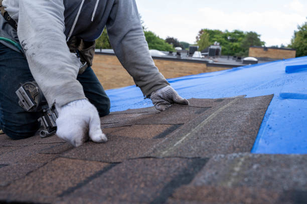 Best Best Roofing Contractors  in Grayvle, IL