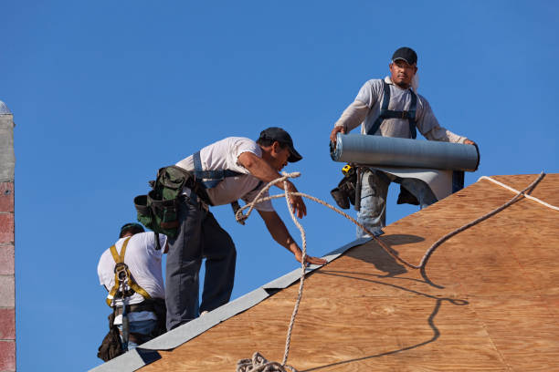 Best Roof Maintenance Services  in Grayvle, IL