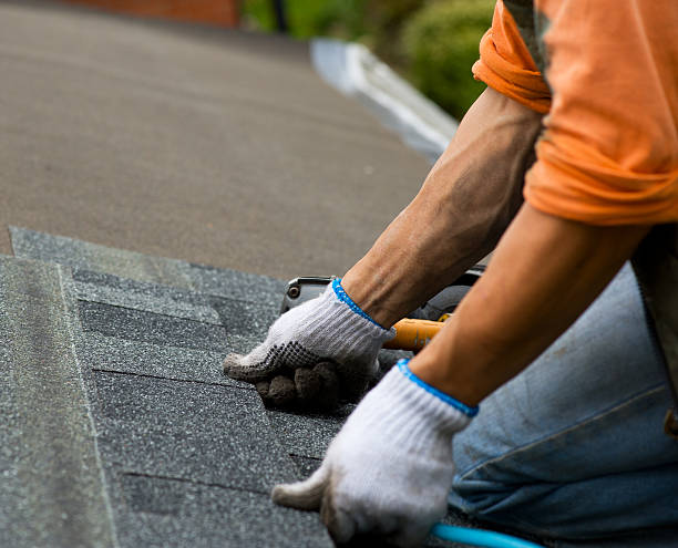 Best Emergency Roof Repair  in Grayvle, IL