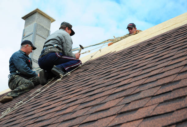 Best Local Roofing Companies  in Grayvle, IL