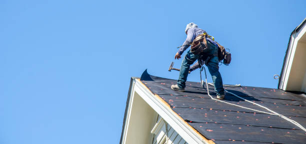 Best Local Roofing Companies  in Grayvle, IL